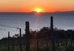 Tresinus 2018 - Agricola San Giovanni