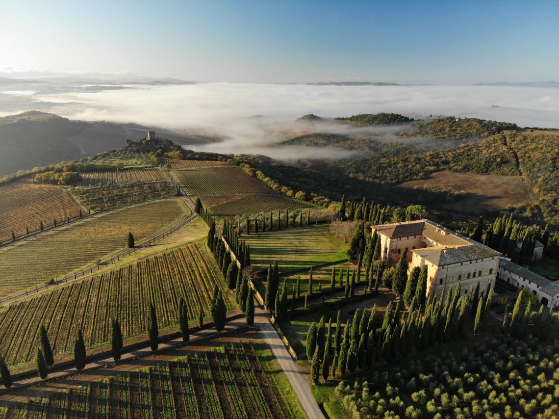 Rosso di Montalcino 2018 - Argiano