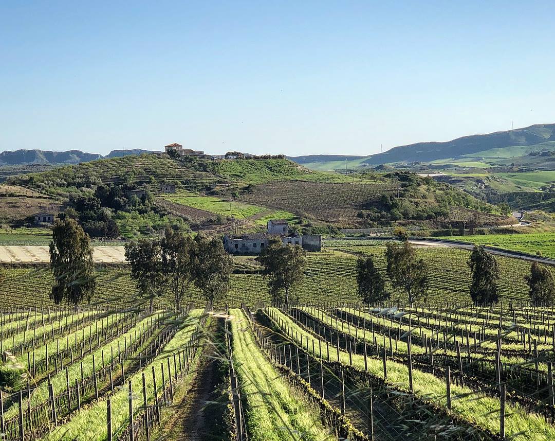Rosato 2019 - Baglio del Cristo di Campobello