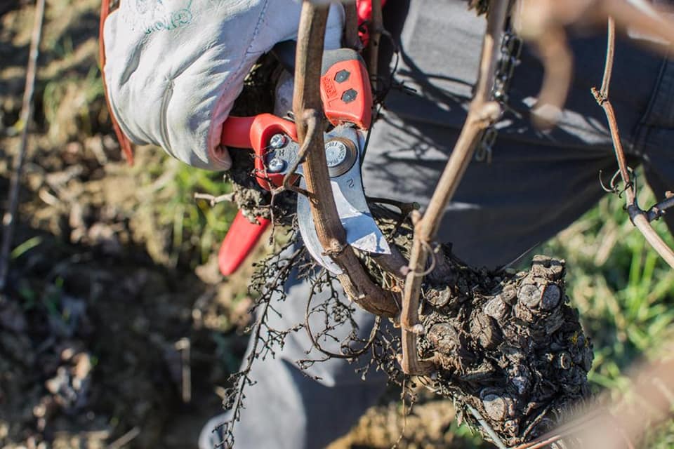 Artumes 2019 - Tenuta di Artimino