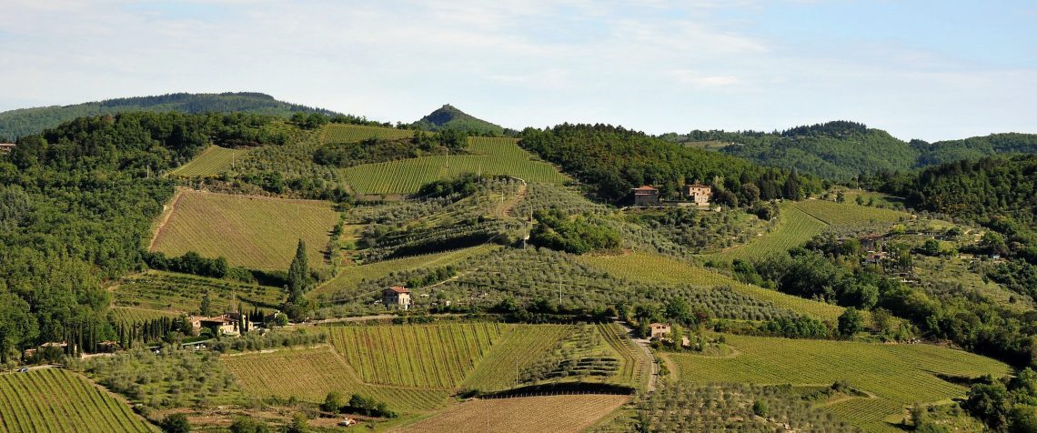 Chianti Classico 2016 - La Casa di Bricciano