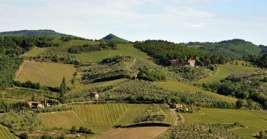 Chianti Classico 2016 - La Casa di Bricciano