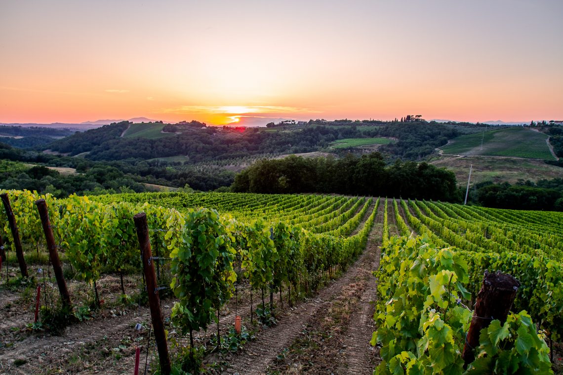 Montalbino 2019 - Montalbino