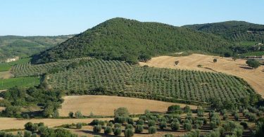 Brunello di Montalcino Vallocchio 2016 - Tenuta Fanti