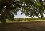 Poggio al Vento 2013 - Col d'Orcia