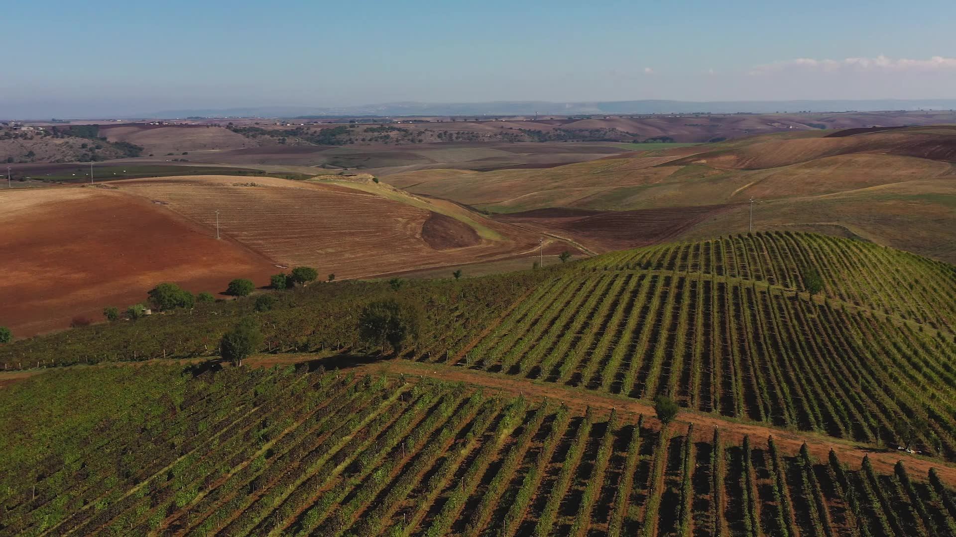 Matematico 2019 - Cantina di Venosa