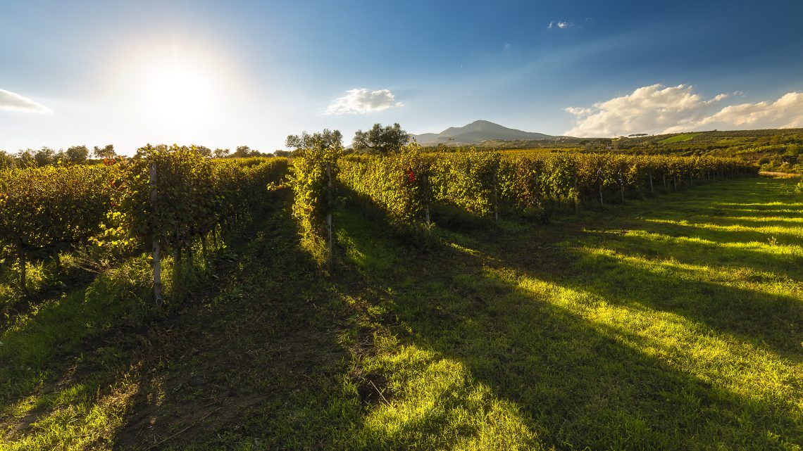 La Stipula Rosè 2014 - Cantine del Notaio