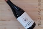 Vino Tinto 2019 Bozeto de Exopto - Exopto