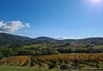 Saccr 2016 - Còlpetrone