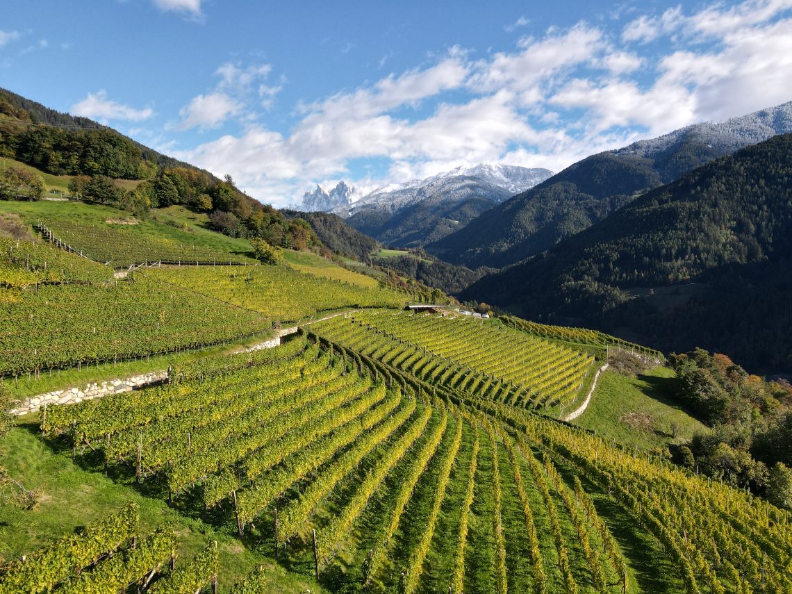 Aristos Gewürztraminer 2019 - Cantina Valle Isarco