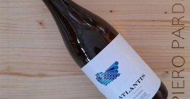 Atlantis Albariño 2020 - Vintae