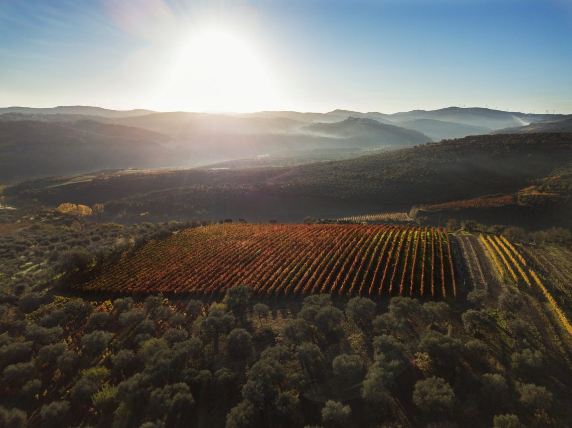 La Stipula Bianca 2017 - Cantine del Notaio