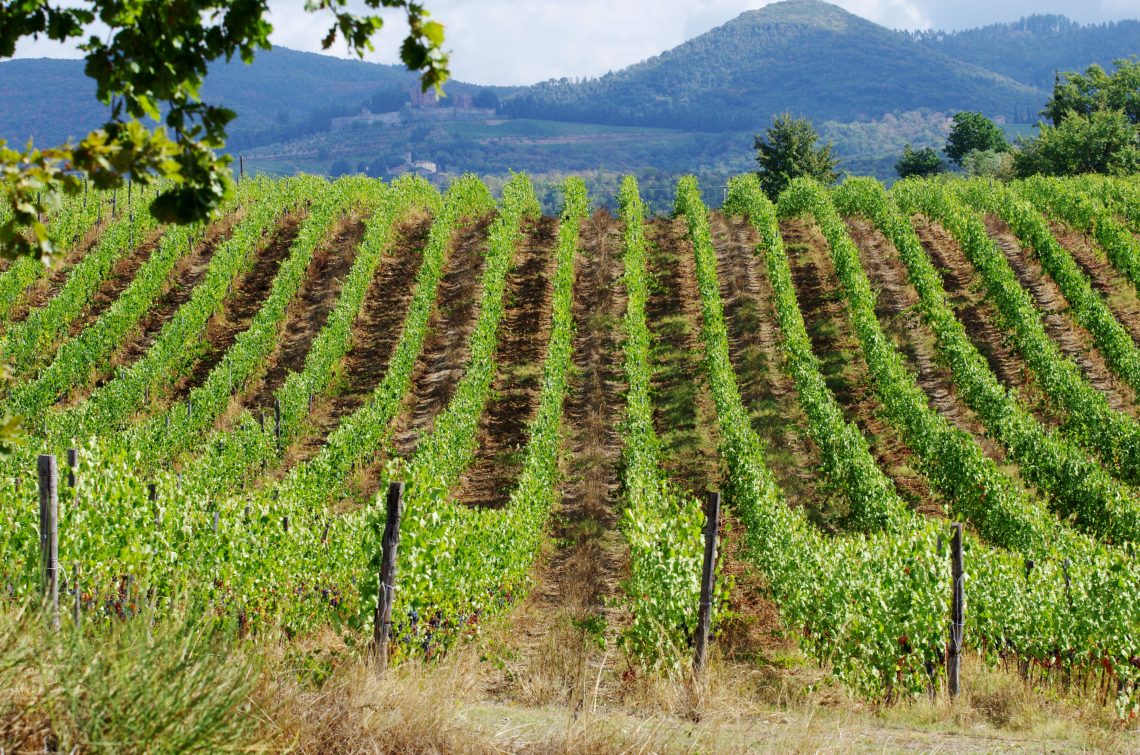 Montebello 2016 - Badia a Coltibuono