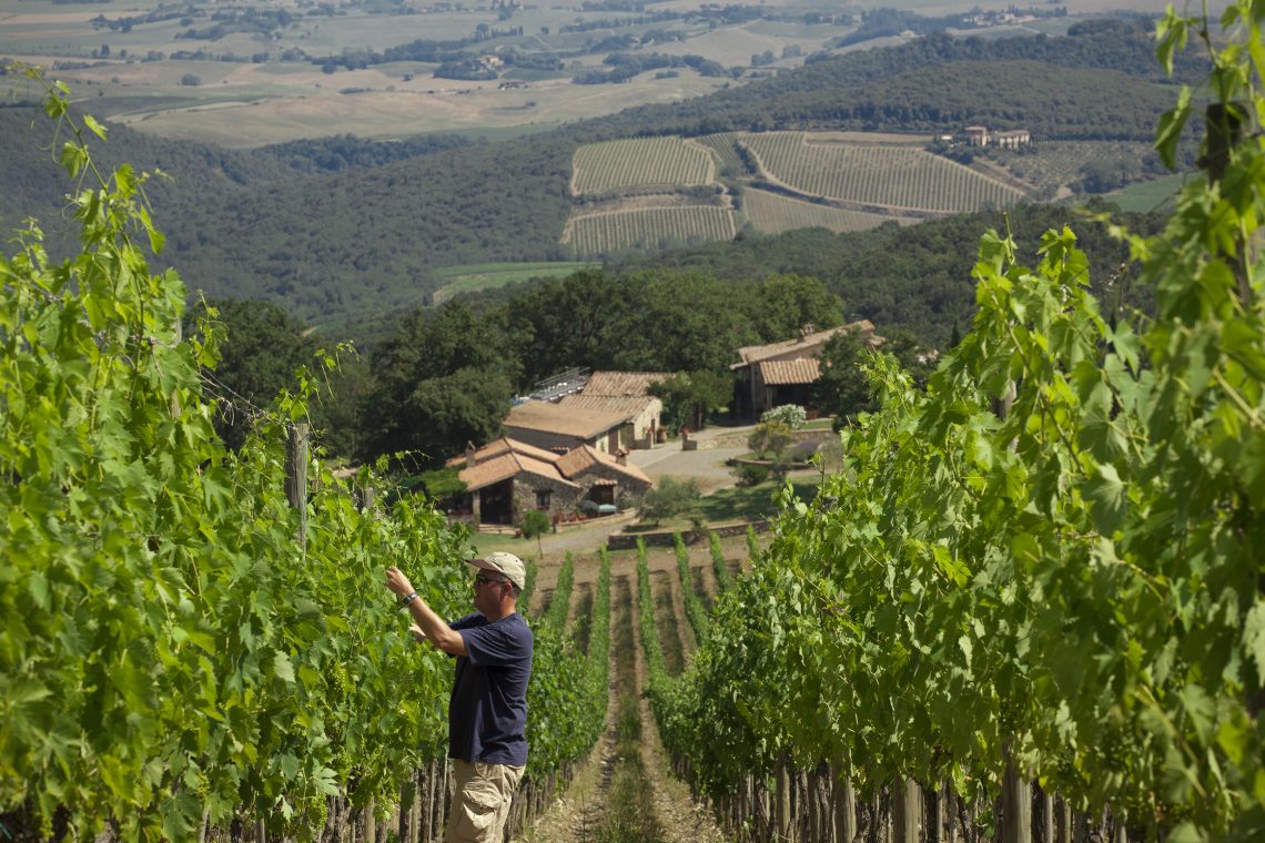 Brunello di Montalcino 2016 - Carpineto