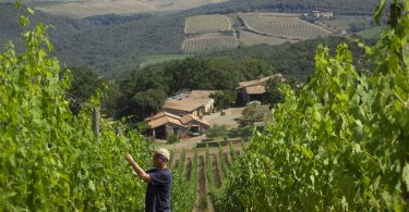 Brunello di Montalcino 2016 - Carpineto