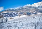 Petite Arvine 2019 - Grosjean Vins