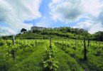 Piano di Montevergine 2014 - Feudi di San Gregorio