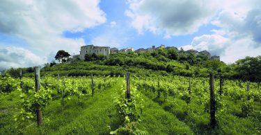 Piano di Montevergine 2014 - Feudi di San Gregorio