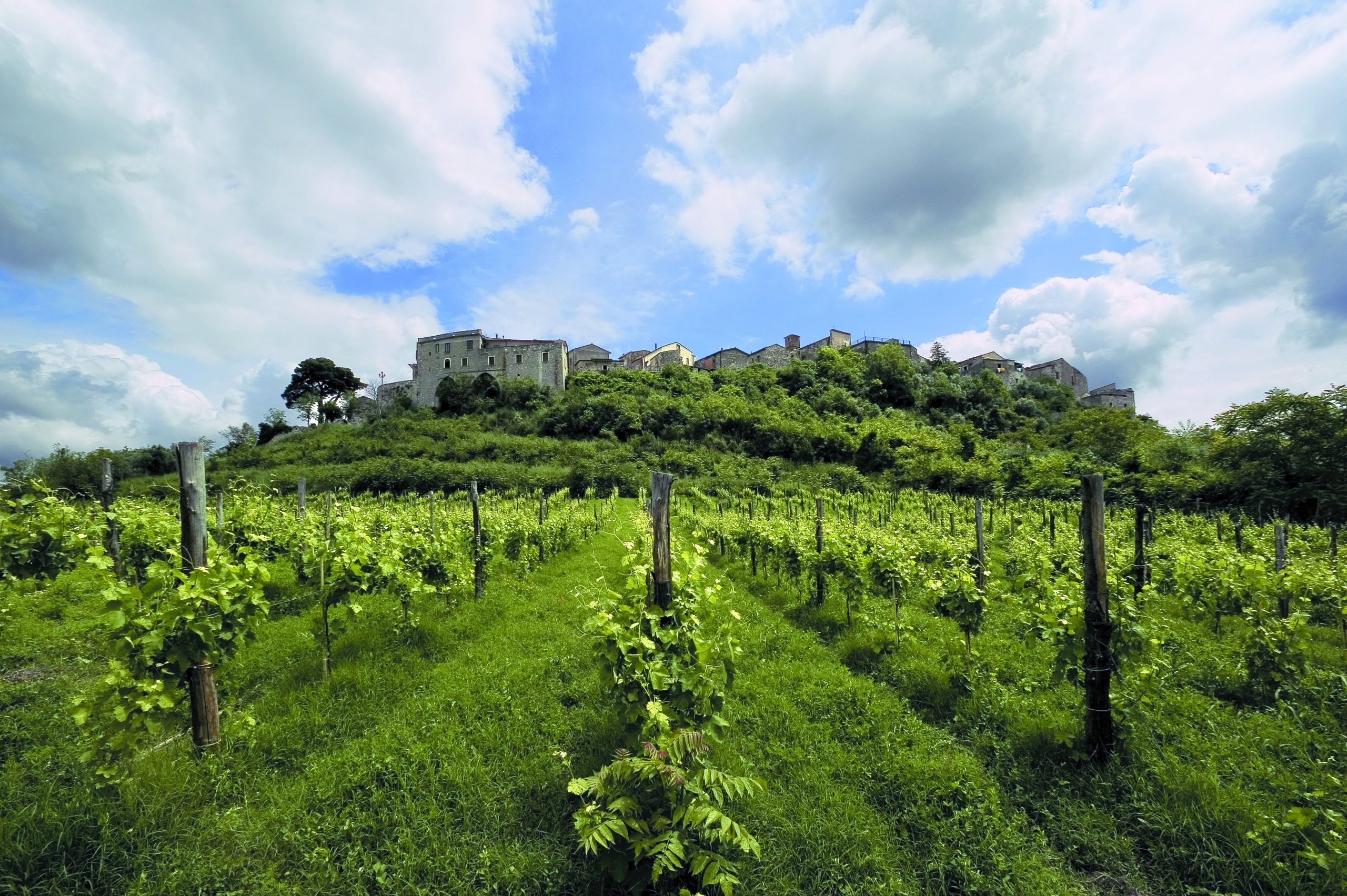 Piano di Montevergine 2014 - Feudi di San Gregorio