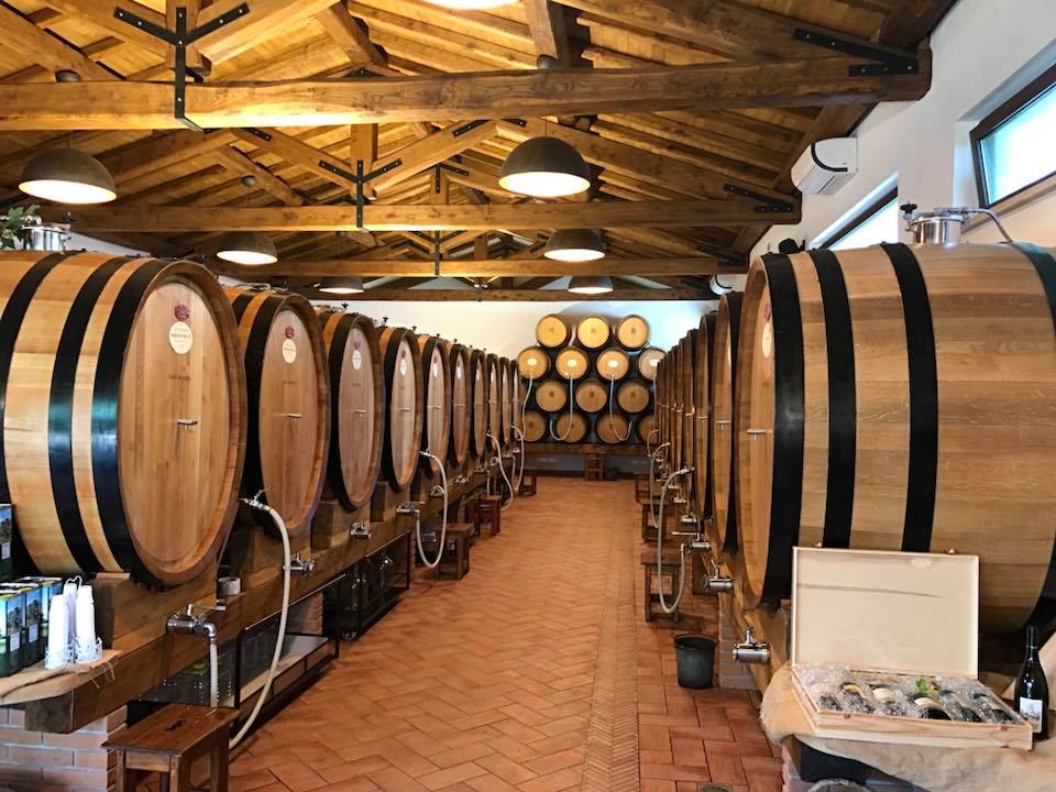 Templum 2019 - Cantina Sant'Andrea