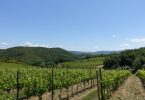 Rosso di Montalcino 2018 - Casisano