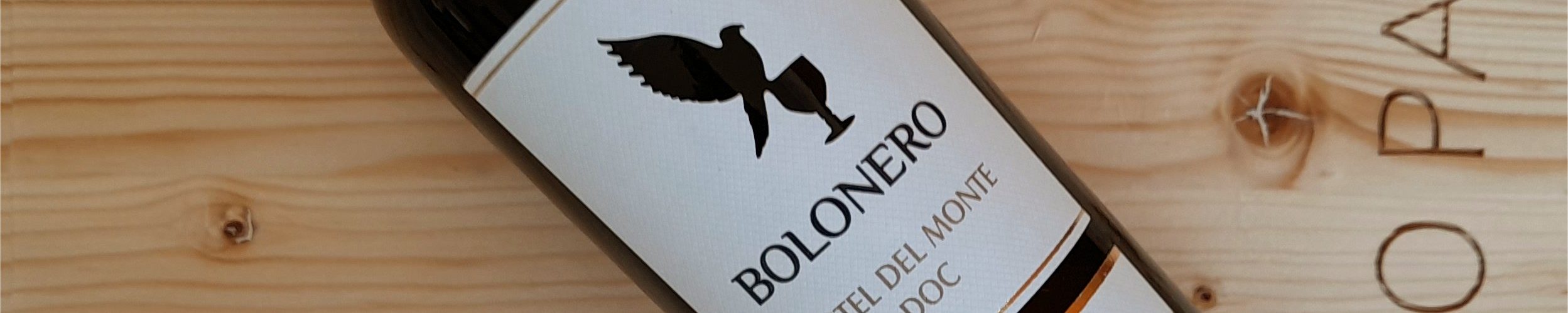 Bolonero 2019 - Torrevento