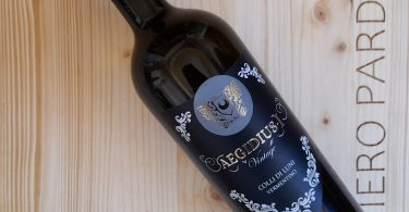 Aegidius I Vintage 2019 - Cantine Bondonor