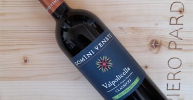 Valpolicella Classico 2020 - Domìni Veneti