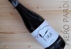 El Sagal de Collbaix Negre 2021 - Celler El Molì