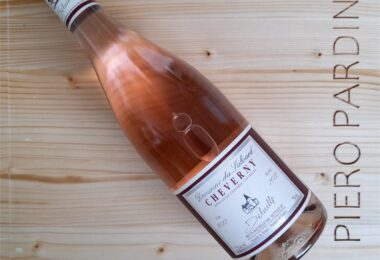 Cheverny Rosè 2022 - Domaine du Salvard
