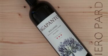 Agapanto 2021 - Podere Conca
