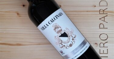 Vigna Bastignano 2020 - Villa Calcinaia