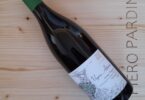 Vigna Astroni 2020 - Cantine Astroni