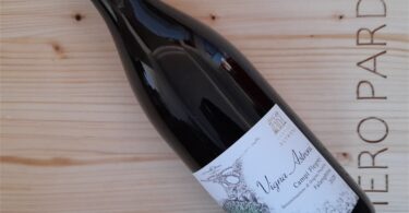 Vigna Astroni 2020 - Cantine Astroni