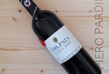 Chianti Classico Gran Selezione Il Puro Vigneto Casanova 2020 - Castello di Volpaia