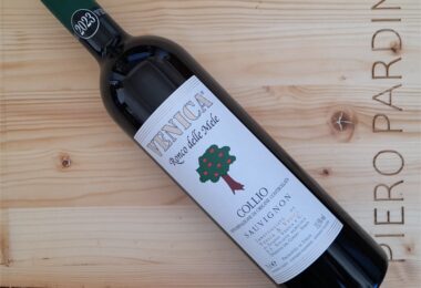 Ronco delle Mele 2023 - Venica & Venica