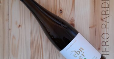 Grüner Veltliner 2023 - Tenuta Ebner