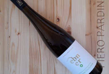 Grüner Veltliner 2023 - Tenuta Ebner
