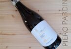 Raone Greco di Tufo Riserva 2023 - Torricino