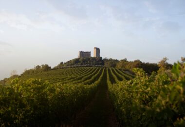 © Ph. CANTINA SABAINI - VENETO - ITALY