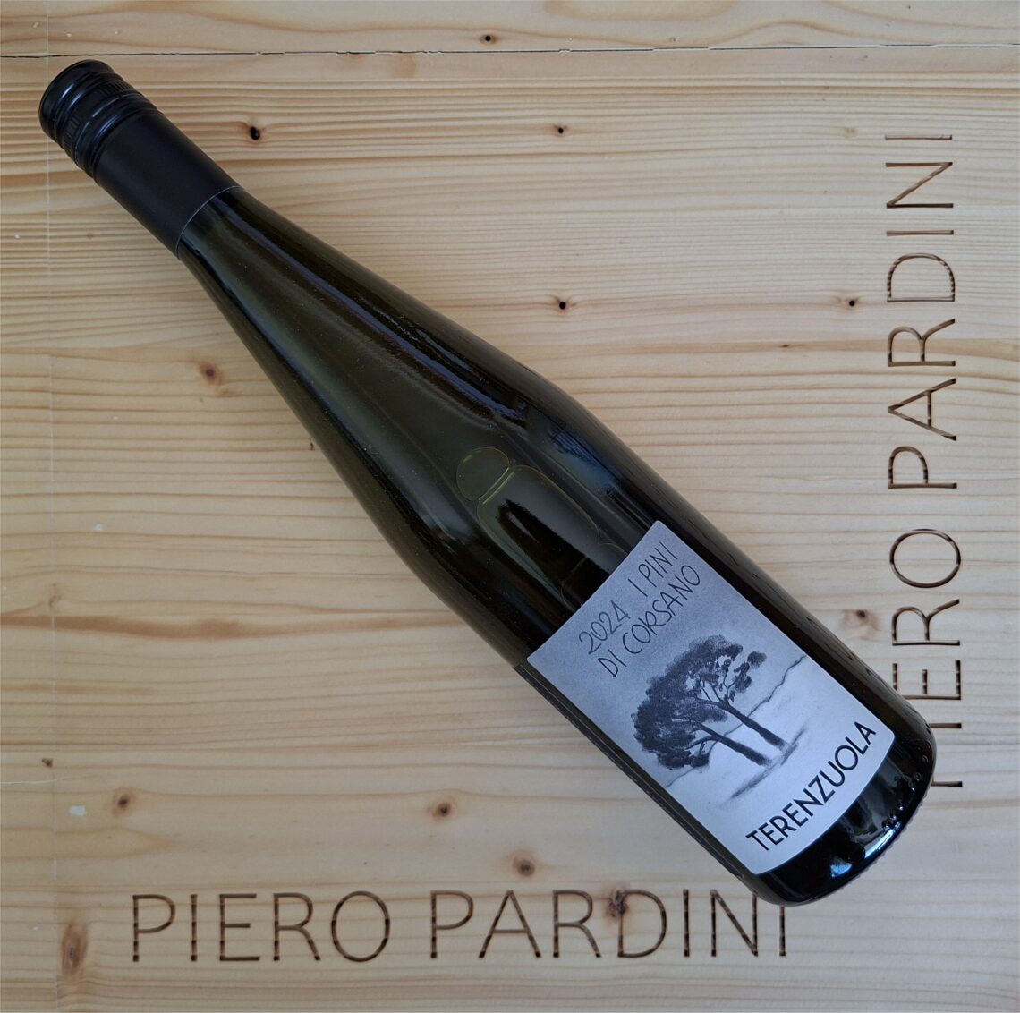 I Pini di Corsano 2024 - Terenzuola