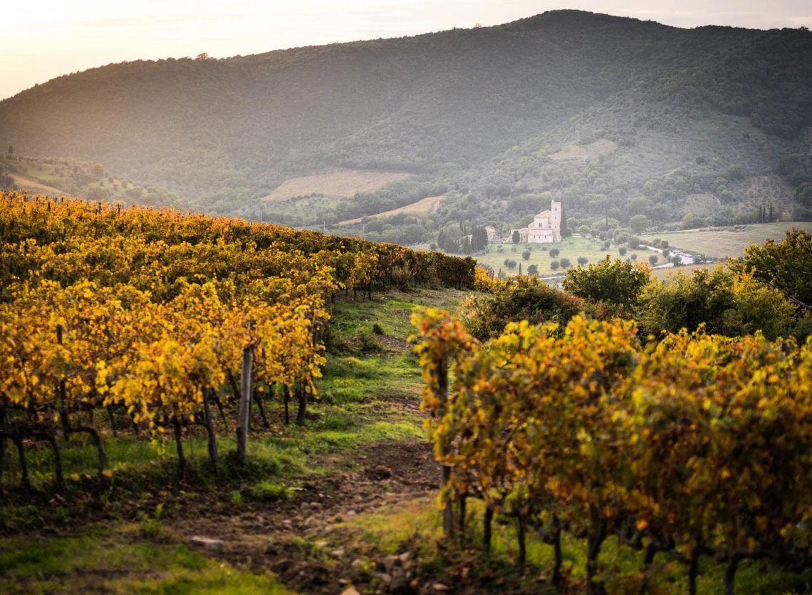 Rosso di Montalcino 2019 - Tenuta Fanti