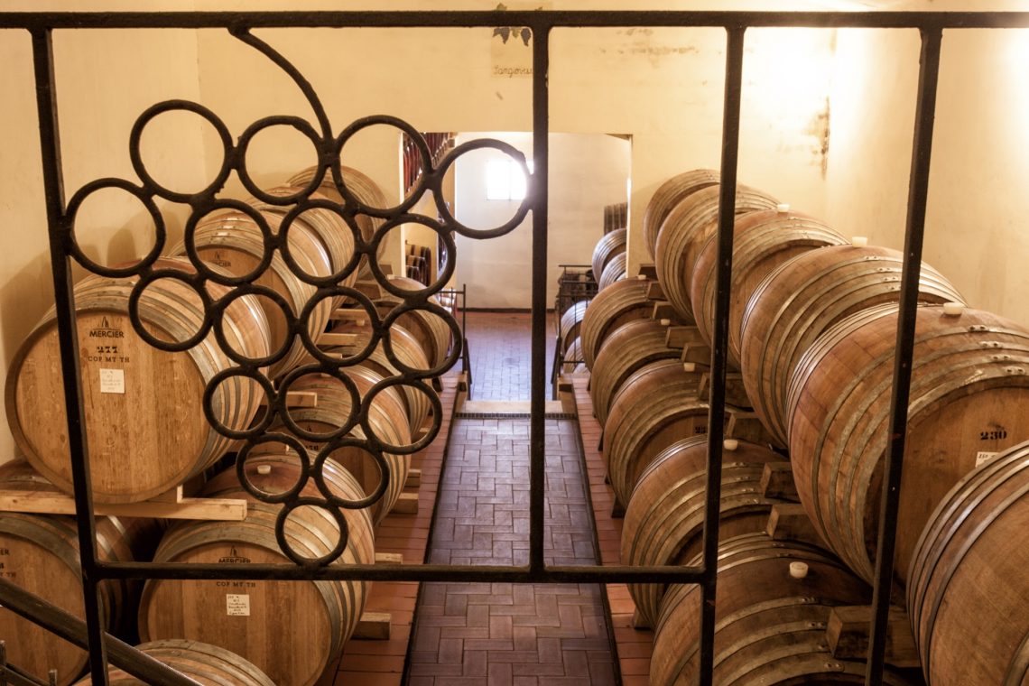 Rosso di Montalcino 2019 - Fattoria dei Barbi