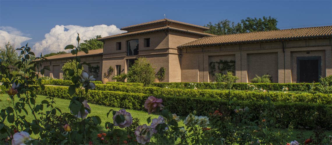 Guidalberto 2019 - Tenuta San Guido