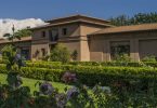 Guidalberto 2019 - Tenuta San Guido