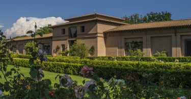 Guidalberto 2019 - Tenuta San Guido