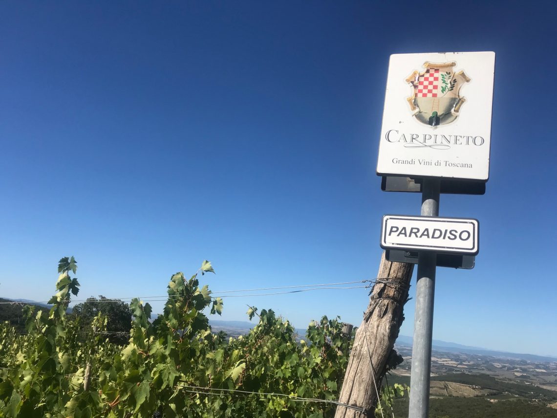 Brunello di Montalcino Riserva 2015 - Carpineto