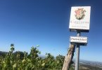 Brunello di Montalcino Riserva 2015 - Carpineto