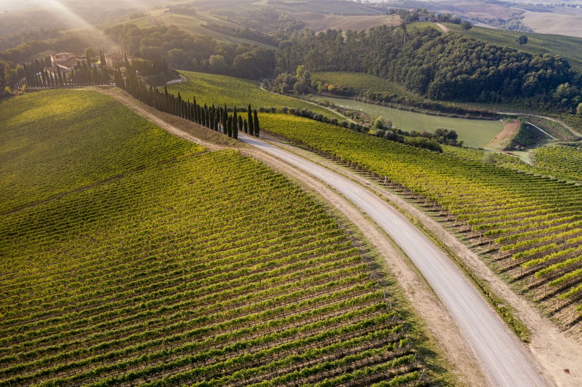 Brunello di Montalcino 2016 - Caparzo