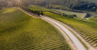 Brunello di Montalcino 2016 - Caparzo